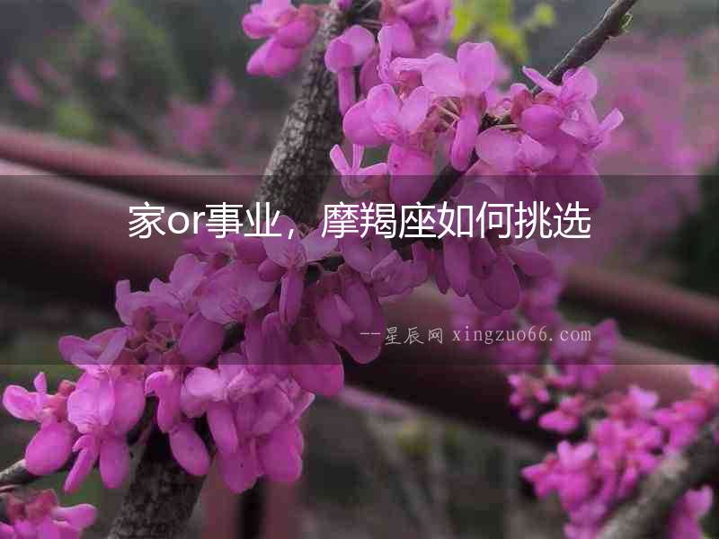 家or事業，摩羯座如何挑選