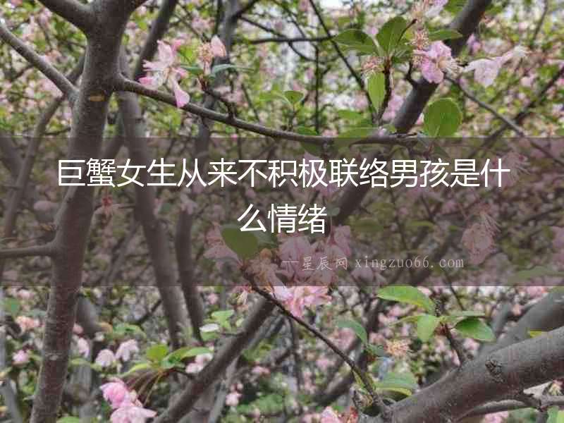 巨蟹女生從來不積極聯(lián)絡(luò)男孩是什么情緒