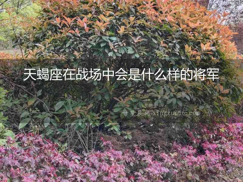 天蝎座在戰場中會是什么樣的將軍