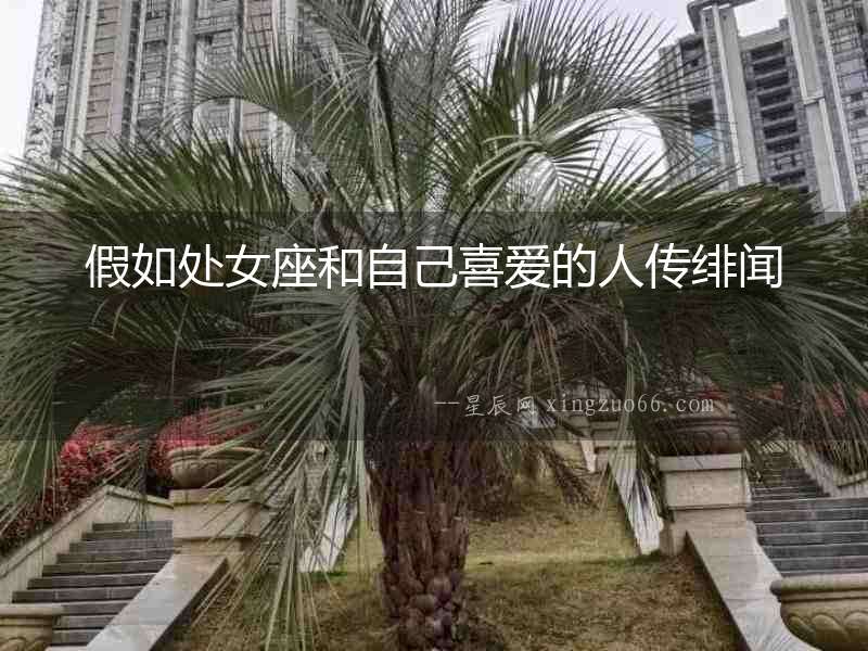 假如處女座和自己喜愛的人傳緋聞