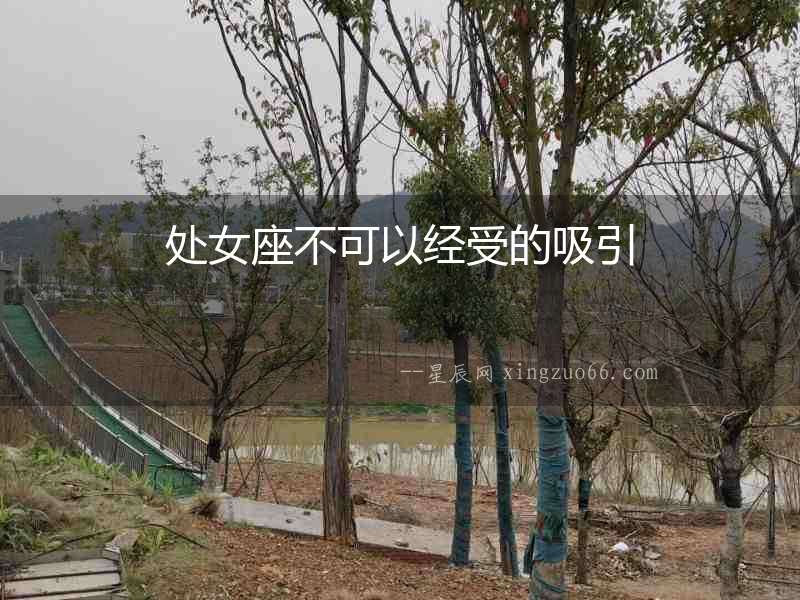 處女座不可以經受的吸引