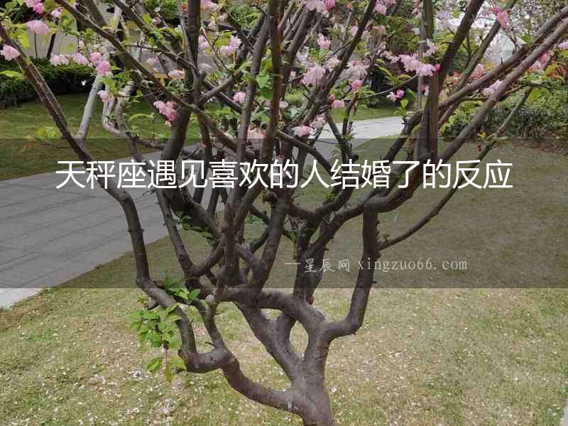 天秤座遇見喜歡的人結(jié)婚了的反應(yīng)