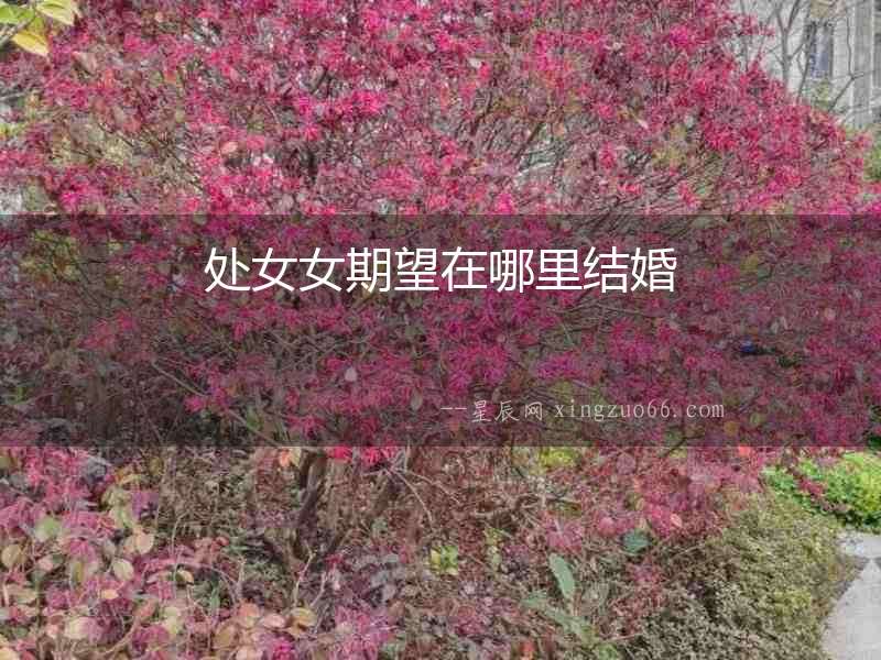 處女女期望在哪里結(jié)婚