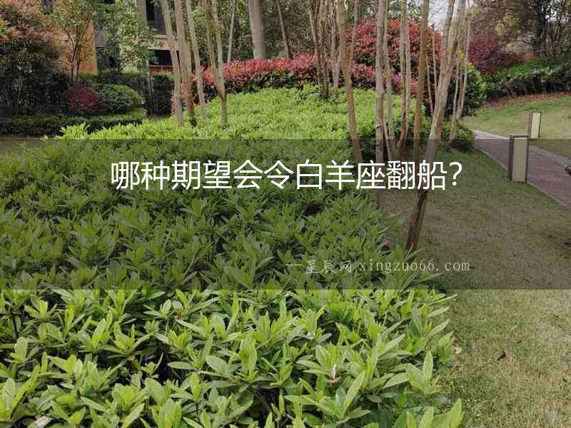 哪種期望會令白羊座翻船？