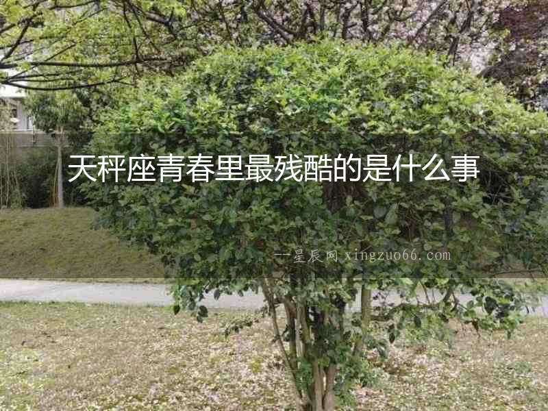 天秤座青春里最殘酷的是什么事