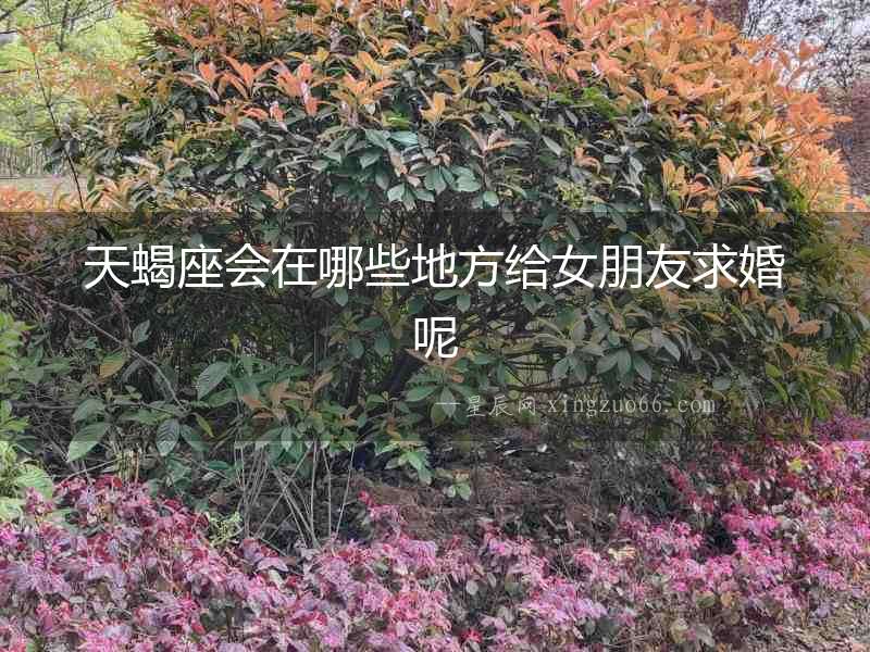 天蝎座會(huì)在哪些地方給女朋友求婚呢