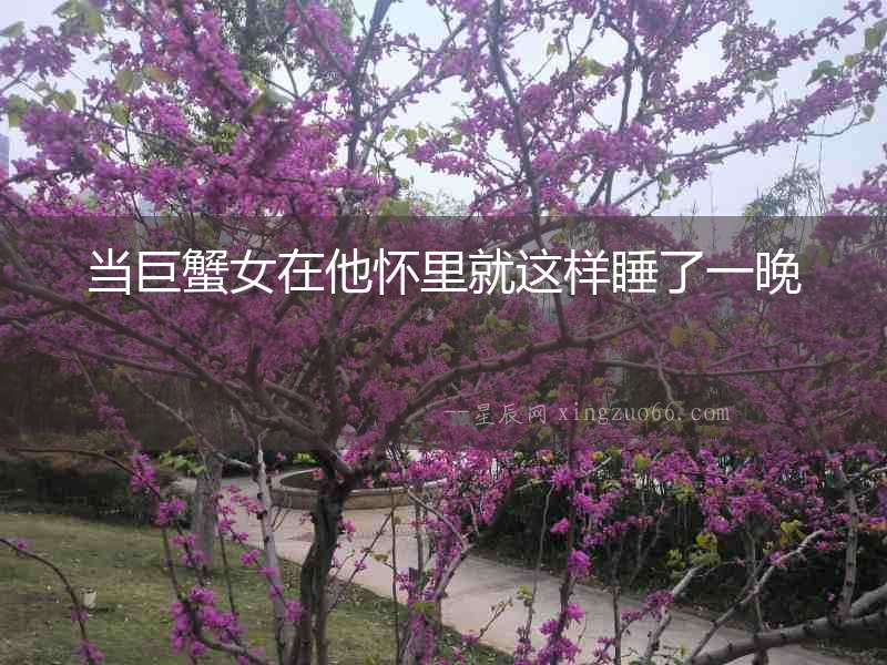當(dāng)巨蟹女在他懷里就這樣睡了一晚