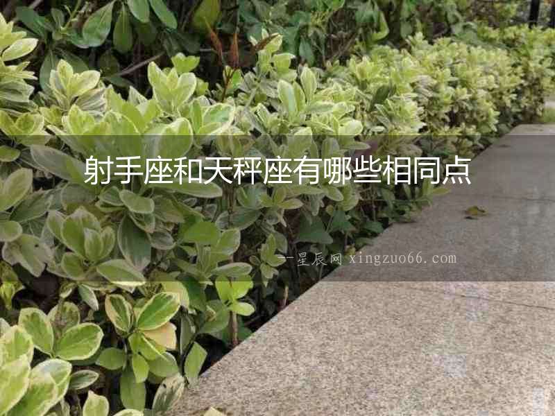射手座和天秤座有哪些相同點