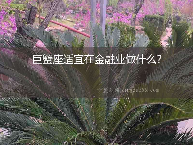 巨蟹座適宜在金融業做什么？