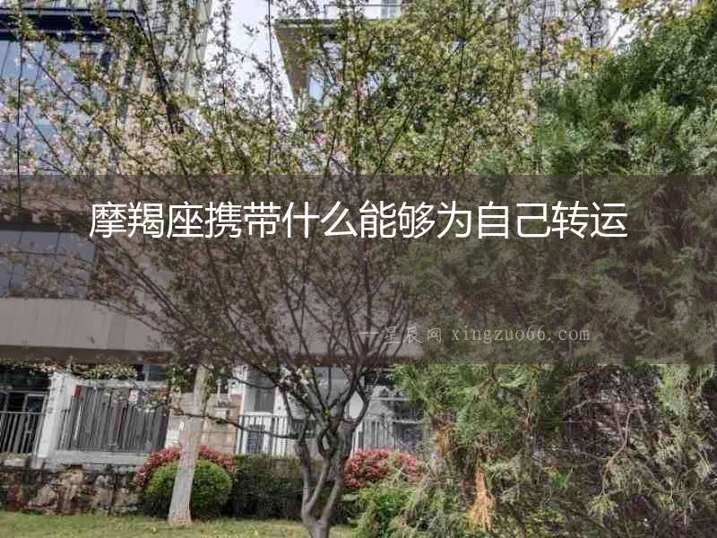 摩羯座攜帶什么能夠?yàn)樽约恨D(zhuǎn)運(yùn)