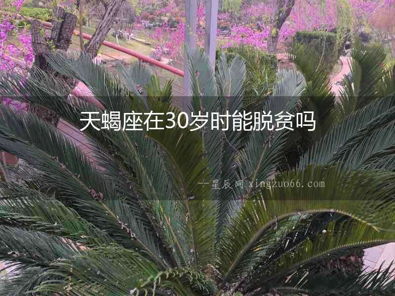 天蝎座在30歲時能脫貧嗎
