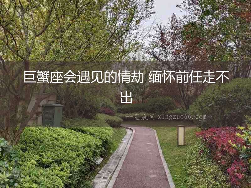 巨蟹座會(huì)遇見的情劫 緬懷前任走不出