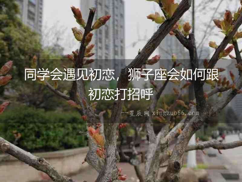 同學(xué)會遇見初戀，獅子座會如何跟初戀打招呼