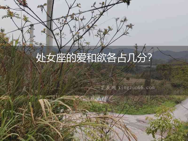 處女座的愛(ài)和欲各占幾分？