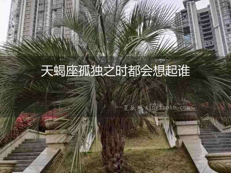 天蝎座孤獨之時都會想起誰