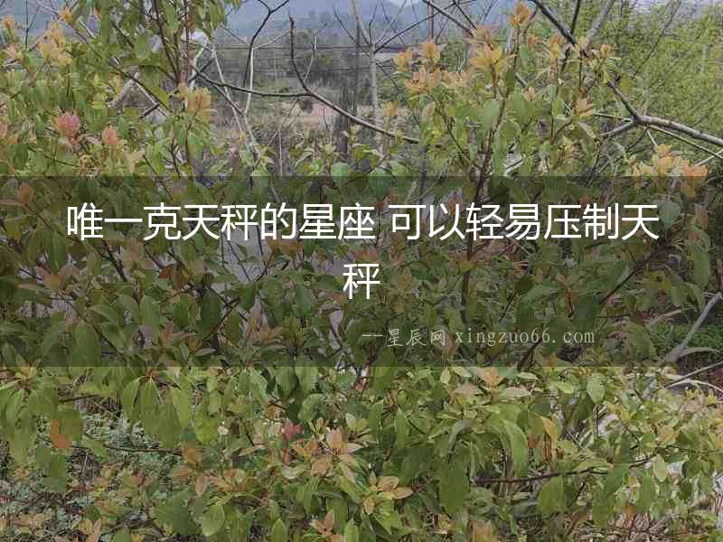 唯一克天秤的星座 可以輕易壓制天秤
