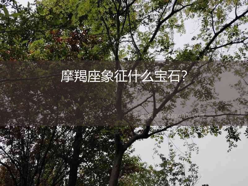 摩羯座象征什么寶石？