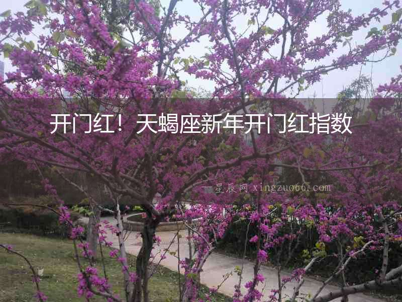開門紅！天蝎座新年開門紅指數