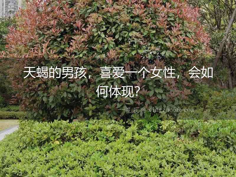天蝎的男孩，喜愛(ài)一個(gè)女性，會(huì)如何體現(xiàn)？