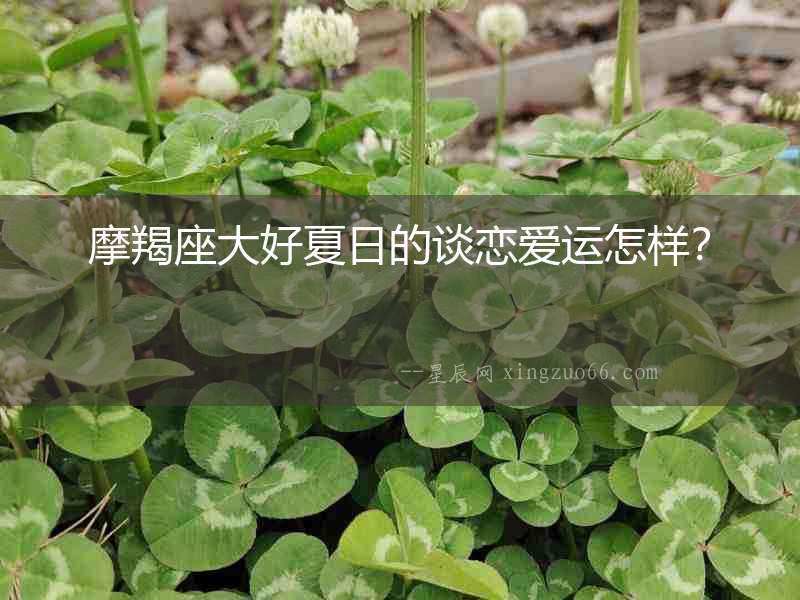 摩羯座大好夏日的談戀愛運(yùn)怎樣？