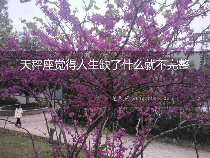天秤座覺(jué)得人生缺了什么就不完整