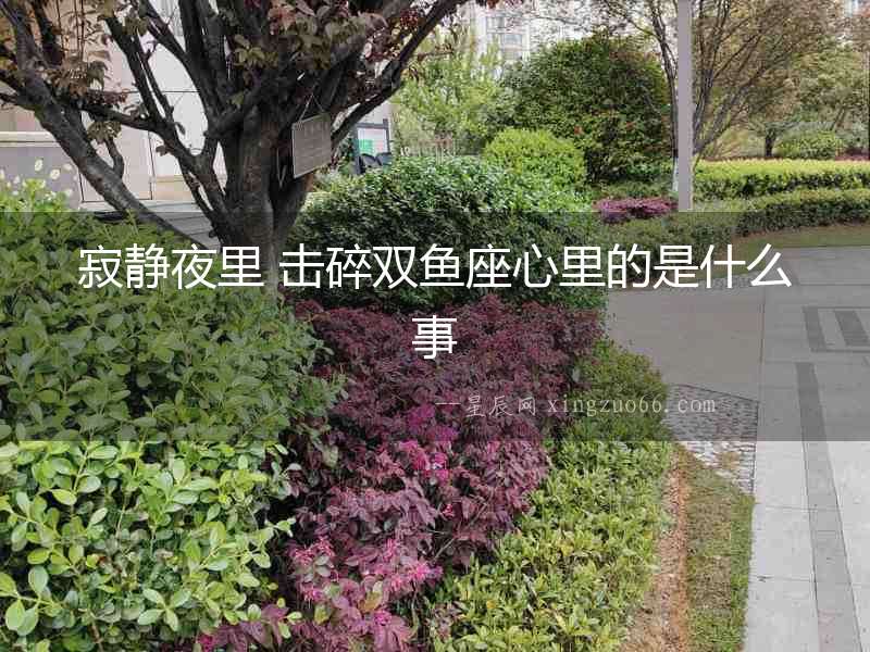 寂靜夜里 擊碎雙魚座心里的是什么事
