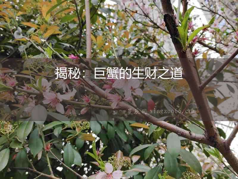 揭秘：巨蟹的生財之道