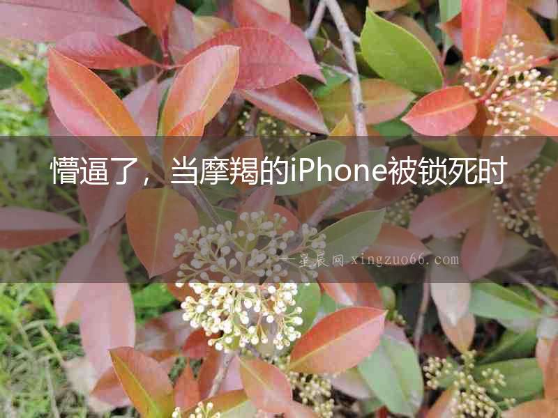 懵逼了，當摩羯的iPhone被鎖死時