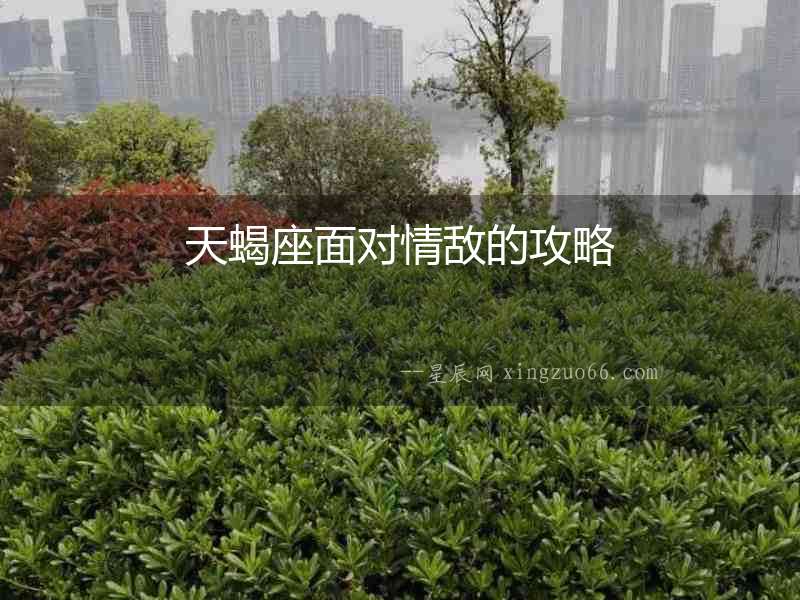 天蝎座面對(duì)情敵的攻略