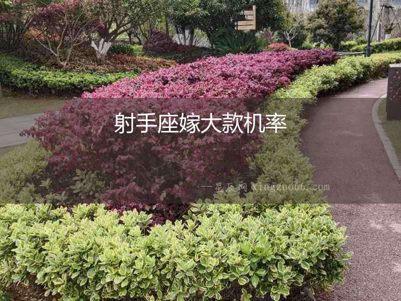 射手座嫁大款機(jī)率