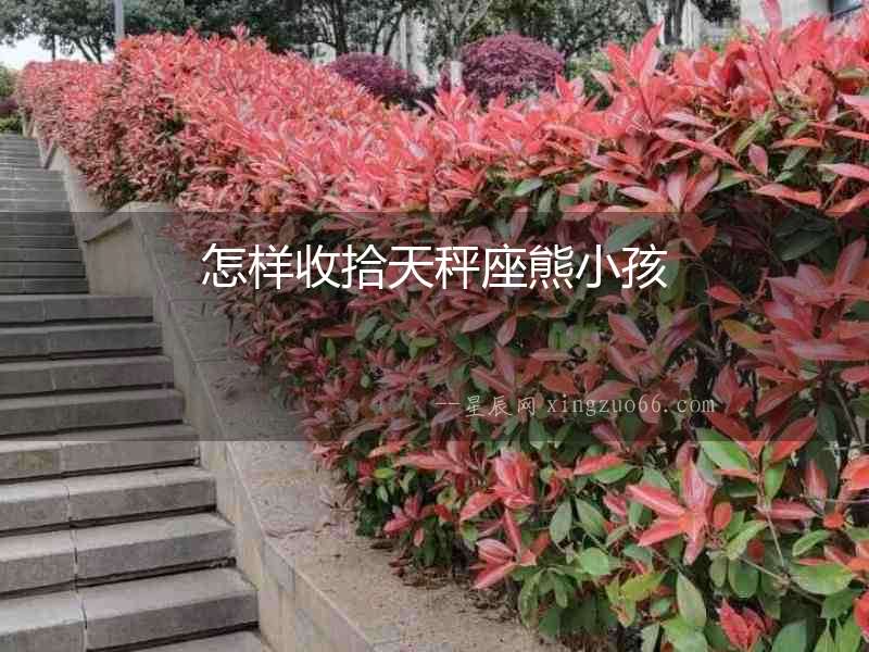 怎樣收拾天秤座熊小孩