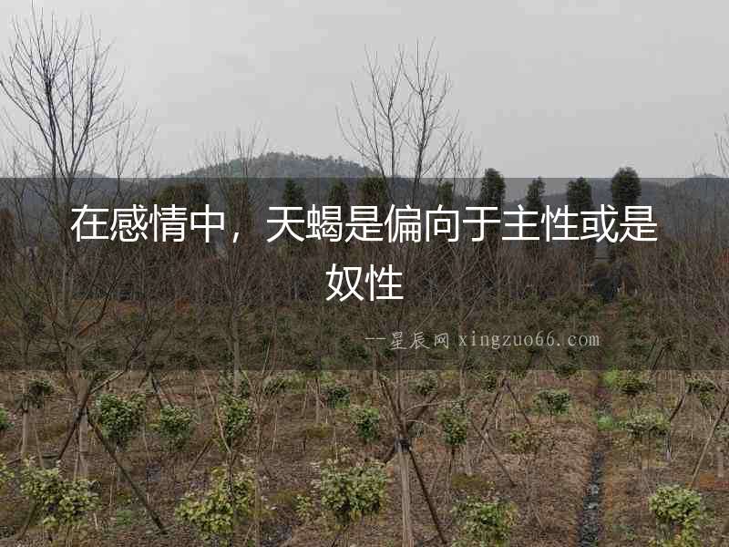 在感情中，天蝎是偏向于主性或是奴性