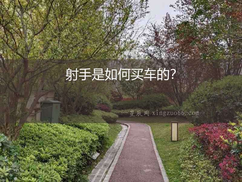 射手是如何買車的？