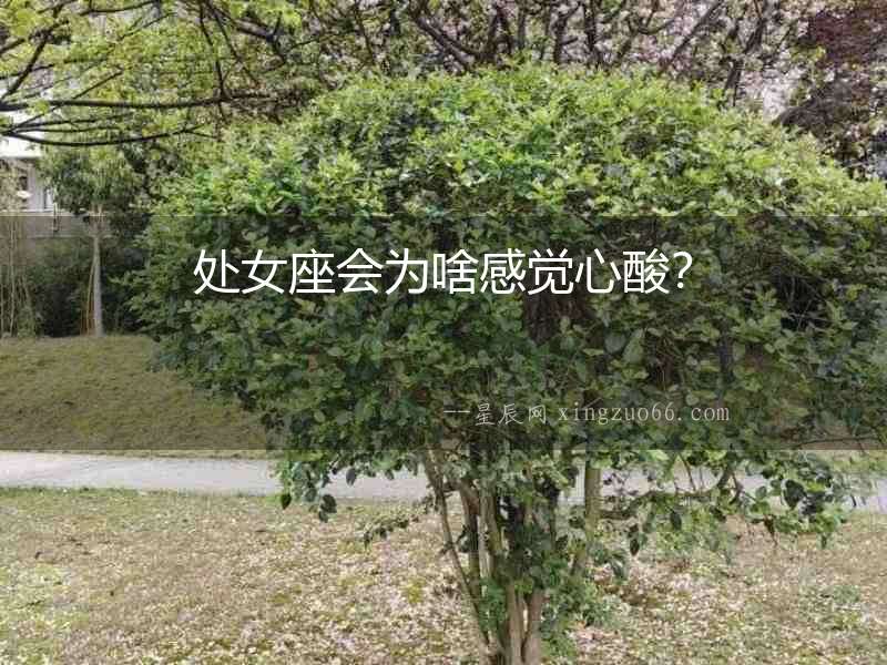 處女座會為啥感覺心酸？