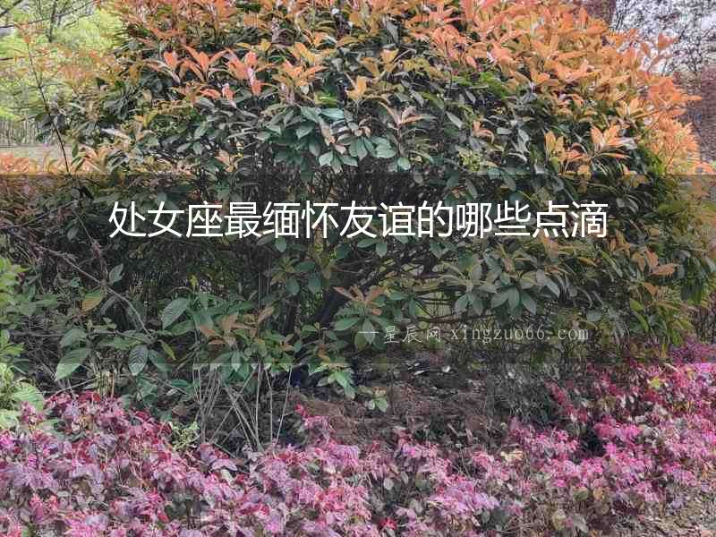 處女座最緬懷友誼的哪些點(diǎn)滴