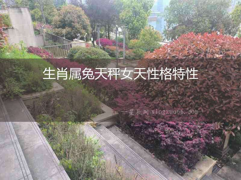 生肖屬兔天秤女天性格特性