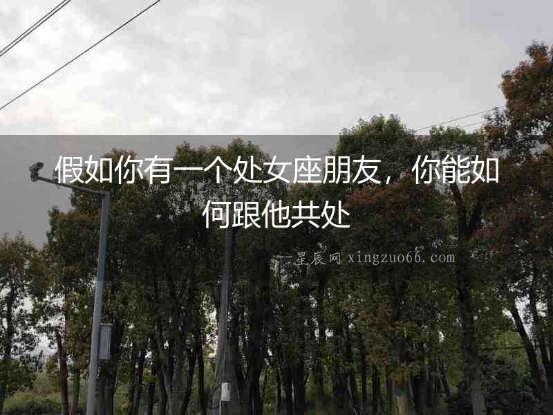 假如你有一個處女座朋友，你能如何跟他共處