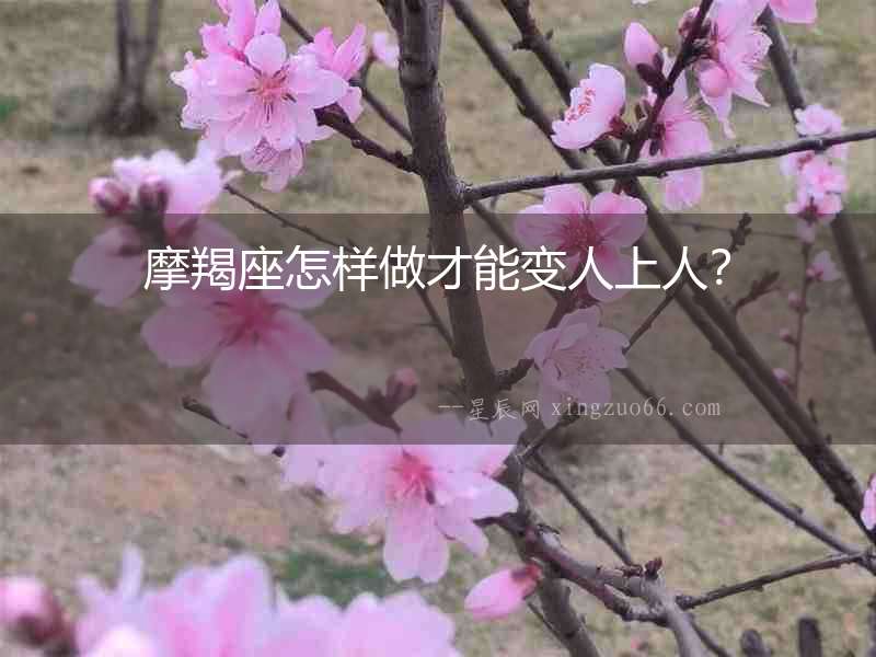 摩羯座怎樣做才能變人上人？