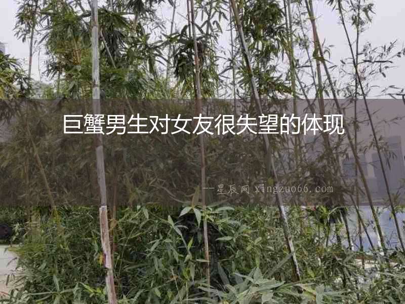 巨蟹男生對女友很失望的體現