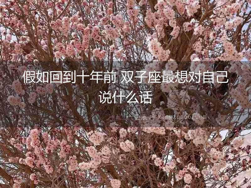 假如回到十年前 雙子座最想對自己說什么話