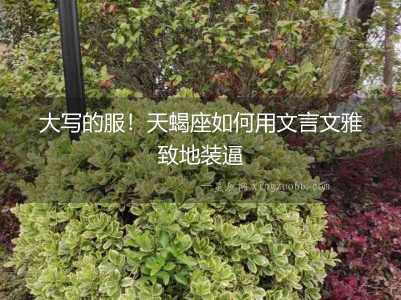 大寫的服！天蝎座如何用文言文雅致地裝逼