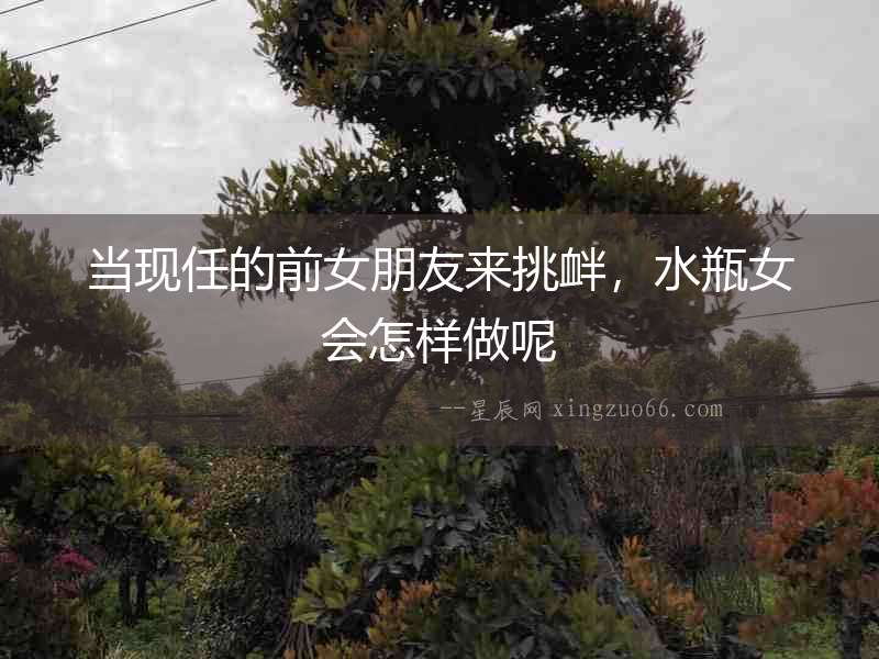 當(dāng)現(xiàn)任的前女朋友來挑釁，水瓶女會怎樣做呢