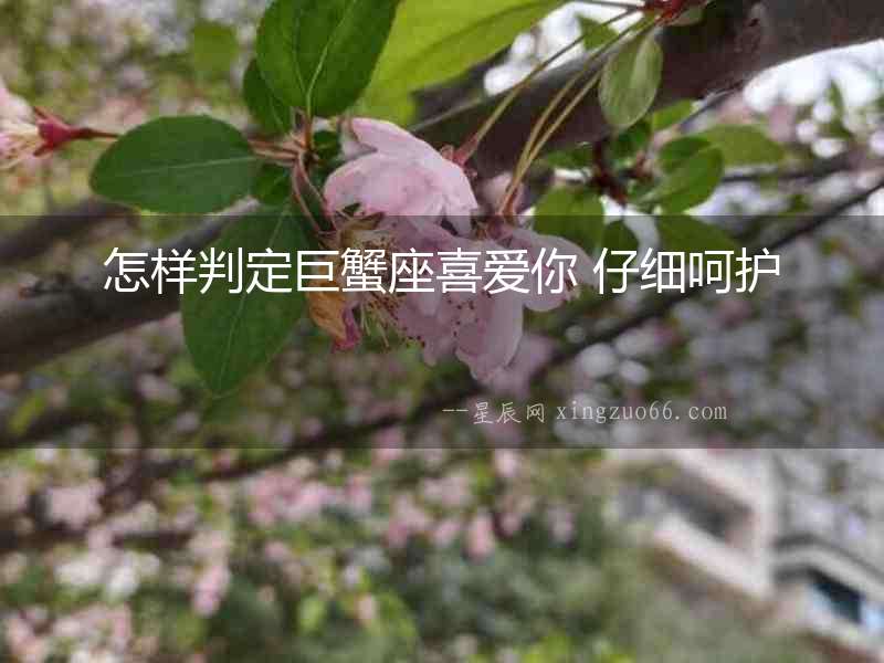 怎樣判定巨蟹座喜愛你 仔細呵護