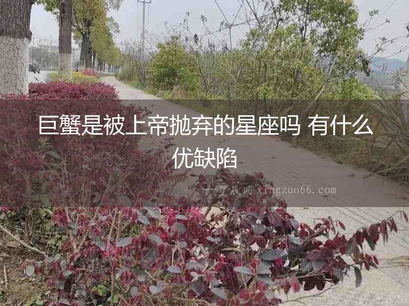 巨蟹是被上帝拋棄的星座嗎 有什么優缺陷