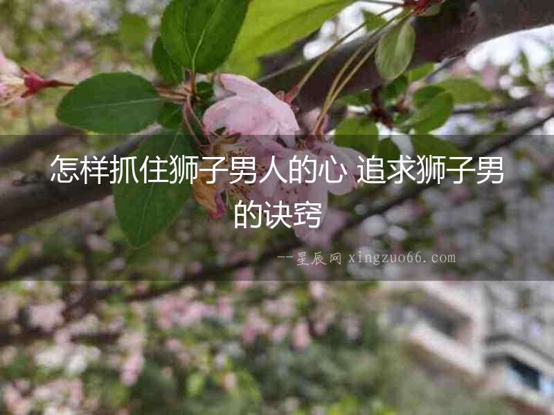 怎樣抓住獅子男人的心 追求獅子男的訣竅