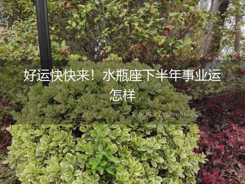 好運快快來！水瓶座下半年事業運怎樣