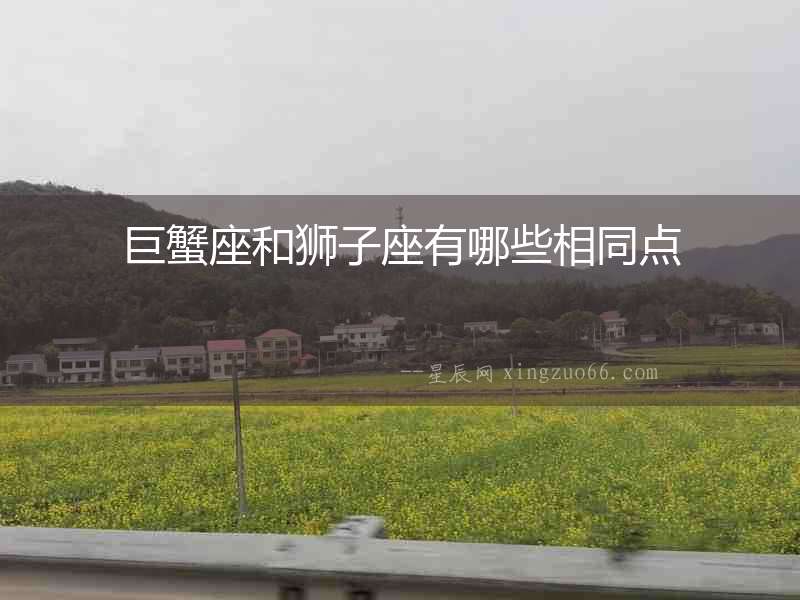 巨蟹座和獅子座有哪些相同點(diǎn)