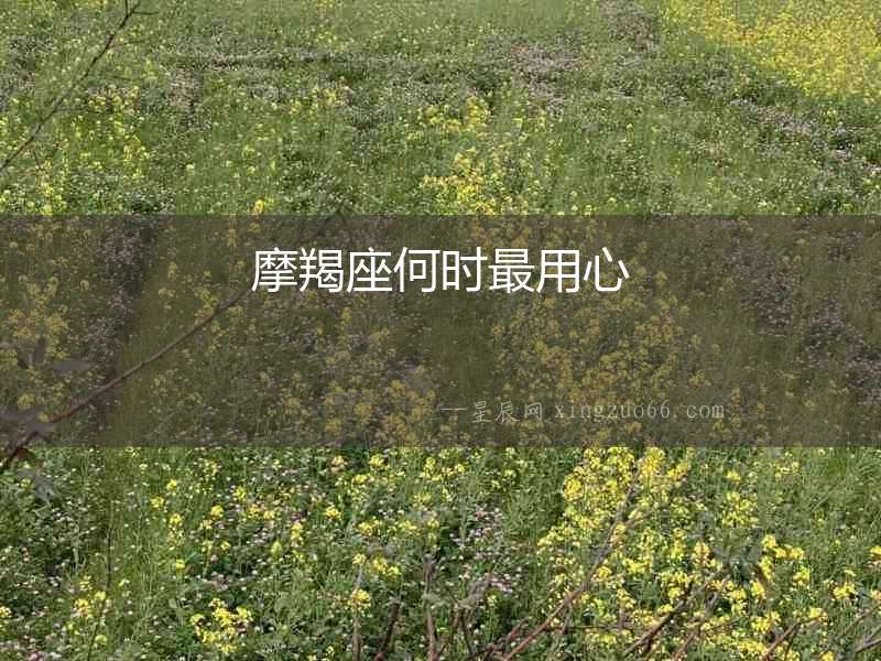 摩羯座何時最用心