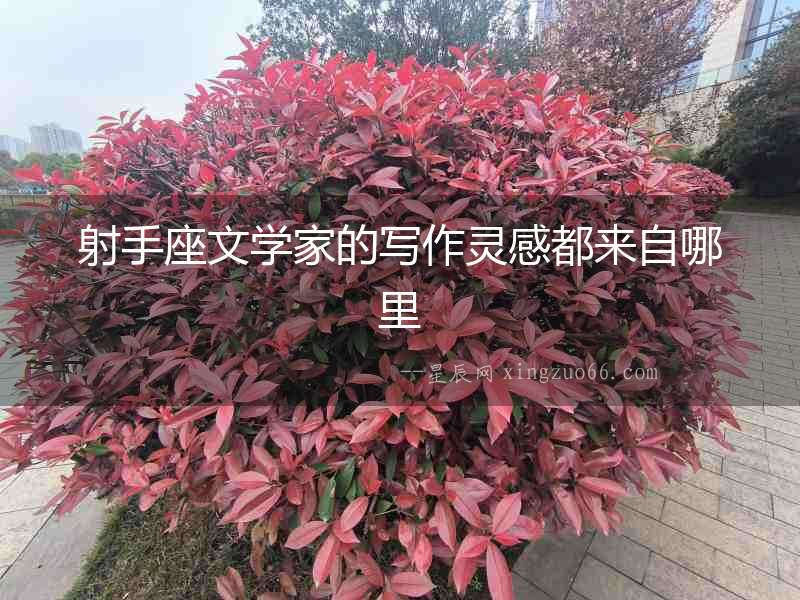射手座文學(xué)家的寫(xiě)作靈感都來(lái)自哪里