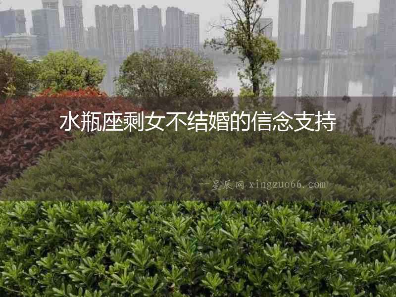 水瓶座剩女不結(jié)婚的信念支持
